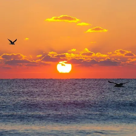 Loft, Due Passi Dal Mare